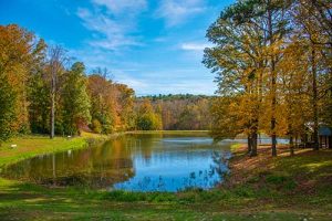 Photo of the WPCC Pond in fall with trees showing their colors