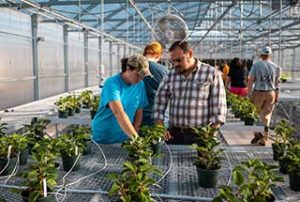 Photo of students in the WPCC Greenhouse