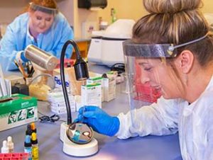 A WPCC Student works with a sample in the Medical Laboratory Technology lab on campus