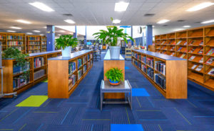 Image of bookshelves in a library